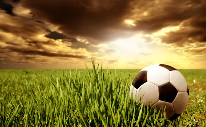 Eu Posuere Dolor Dapibus Sit Amet