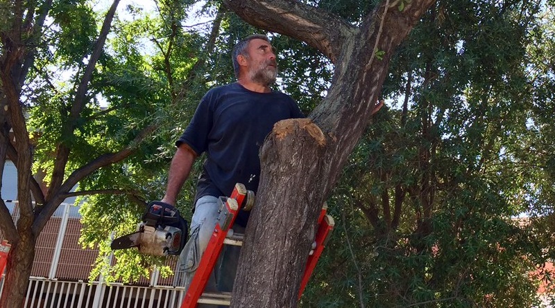 Betxí obri la tercera bossa de treball local i espera arribar als 100 inscrits
