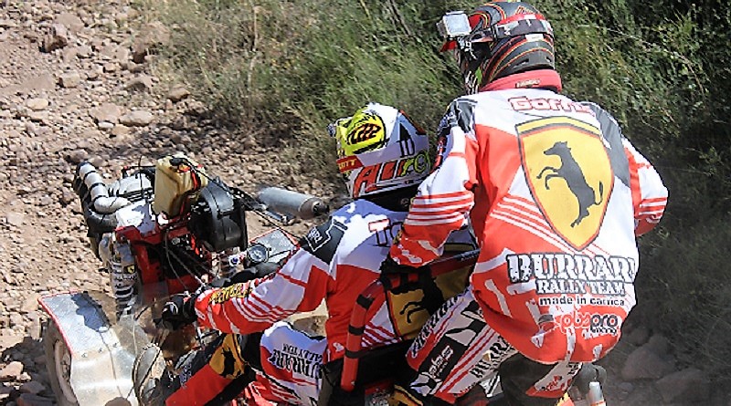 XXIX Transbetxí 2017