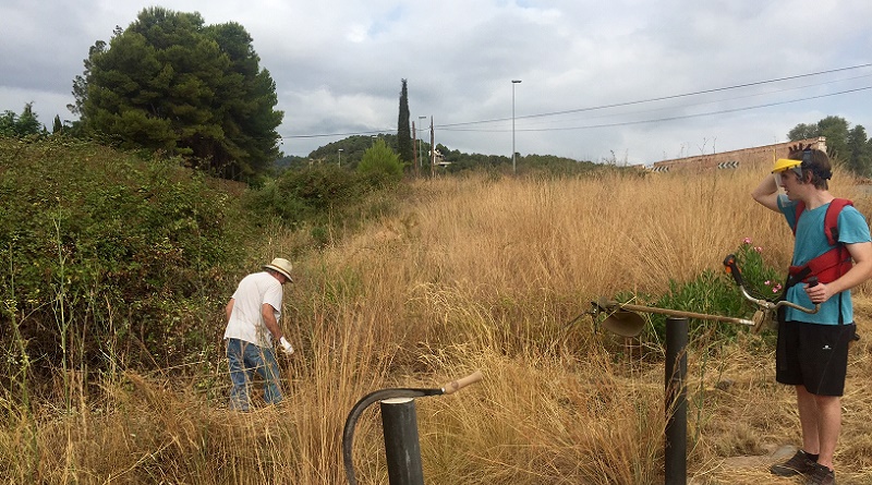 Betxí activa la quarta bossa d’ocupació i incorpora huit treballadors