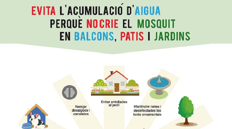 🚫💧Tots i totes contra el mosquit tigre 🚫💧