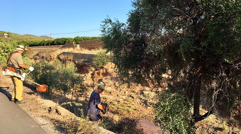 L’Ajuntament contractarà 23 persones aturades del règim agrari