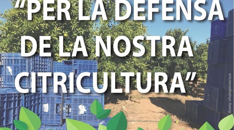 Manifestació «per la defensa de la nostra citricultura»
