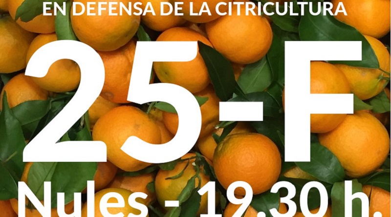 En defensa de la nostra citricultura