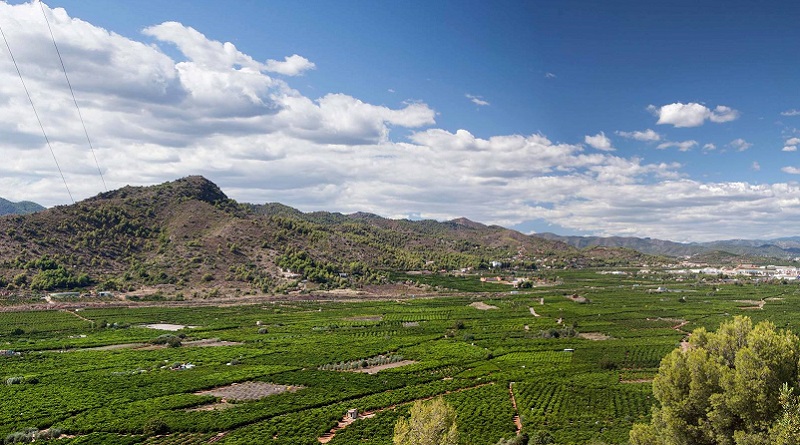 Torna el servei MeteoXarxaOnline