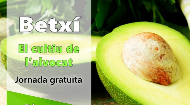 Jornada sobre el cultiu de l’alvocat