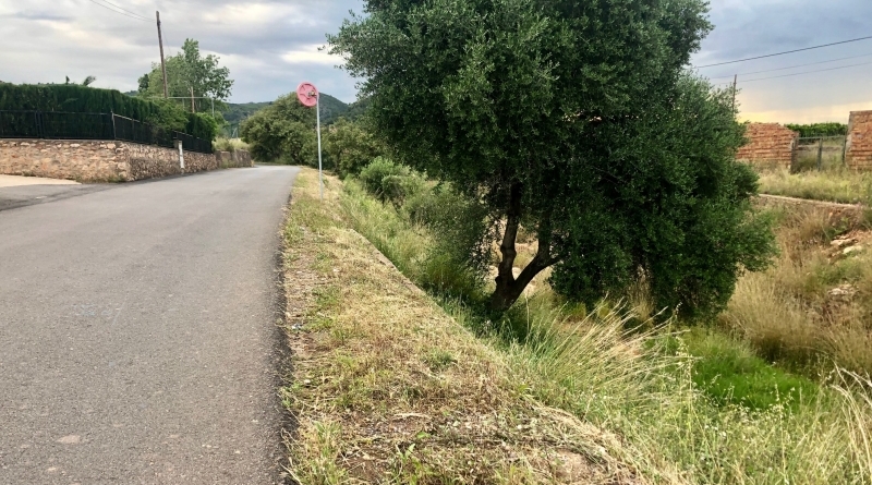 Betxí neteja els plàstics i deixalles dels principals camins rurals