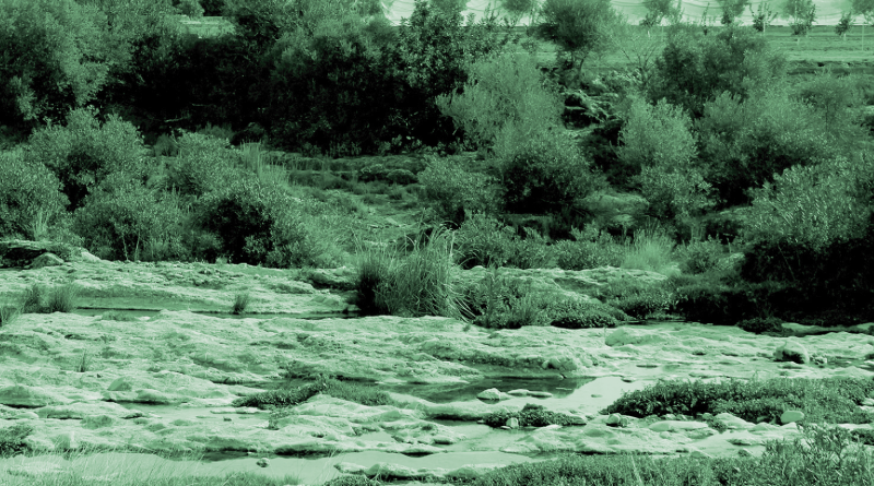 Medi Ambient posa en marxa un procés de participació per a la regeneració del riu Sec