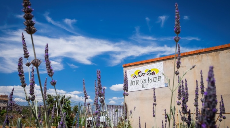 Vine a descobrir l’Horta del Rajolar