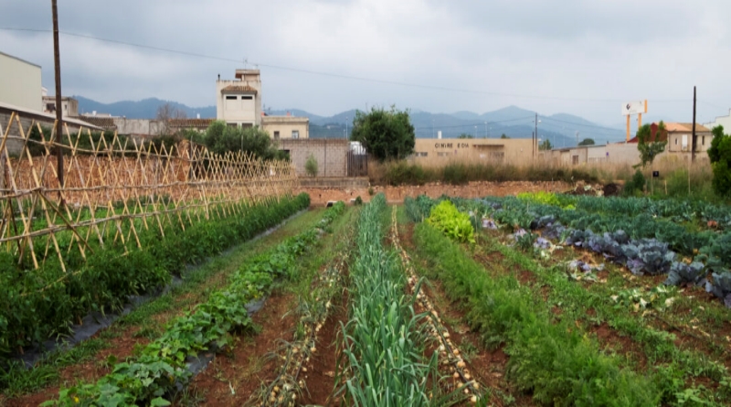 Novessendes presenta un Sistema Participatiu de Garantia (SPG) per a potenciar l’agroecologia