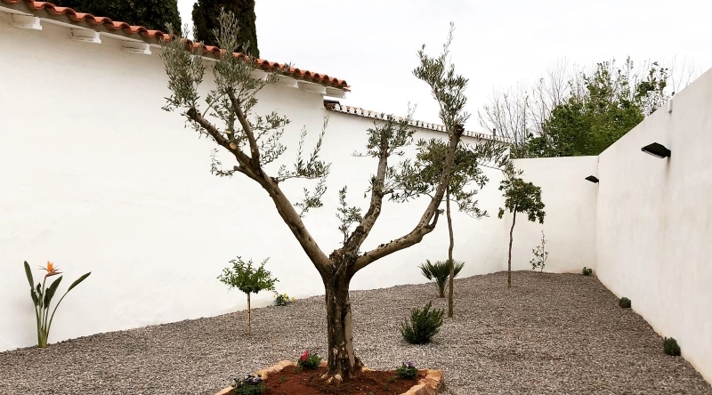 Finalitzen les obres d’ampliació del Cementeri