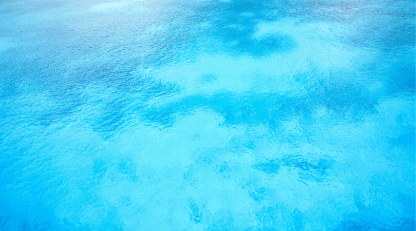 Escola d’Estiu 2021