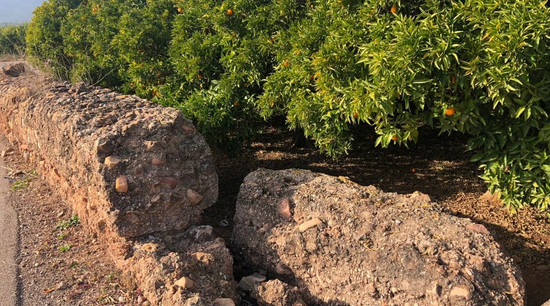 L’Ajuntament inicia el procés de protecció de la Bassa Seca