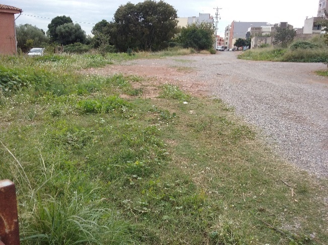 L’Ajuntament aprova el Pla de Reforma Interior del «Sector Molí de l’Horta»