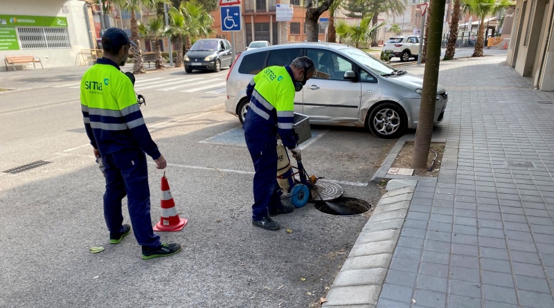 S’inicien els treballs de la campanya de tractament de plagues