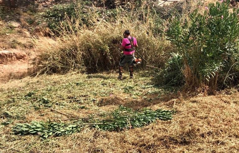 Betxí rep 66.000 euros per a ocupar 4 persones en tasques forestals