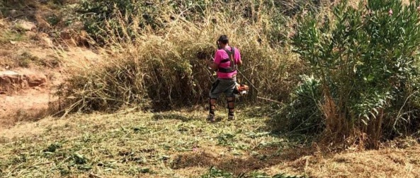 Comença la neteja de barrancs per mitigar l’expansió del mosquit tigre i prevenir inundacions