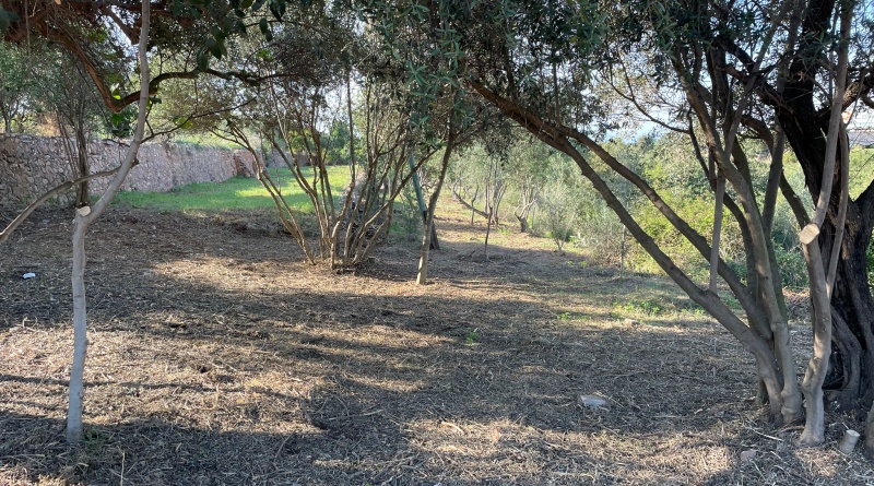 Comencen els treballs de creació de la senda fluvial en el riu Sec