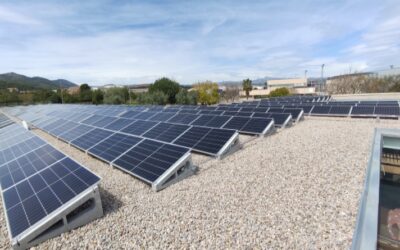 Betxí presenta la primera Comunitat Energètica Local i estudia ampliar el projecte