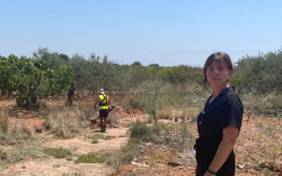L’Ajuntament contracta 23 persones per a la neteja de barrancs i camins durant l’estiu