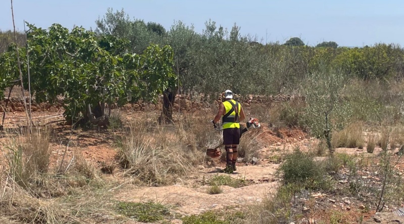 L’Ajuntament de Betxí impulsarà l’ocupació agrària aquest estiu amb una nova inversió de més de 60.000 euros