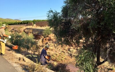 El programa d’ocupació agrària contractarà 23 persones aquest estiu