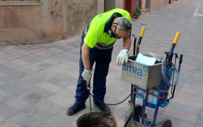 L’Ajuntament reforça el tractament de plagues
