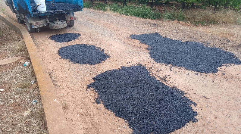 Betxí destina més recursos a la reparació dels camins del terme municipal